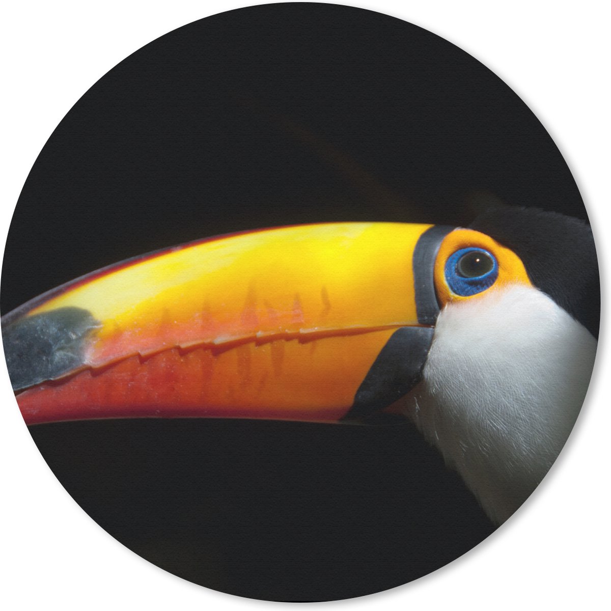 Muismat rond 40x40 cm - Mousepad Toekan - Vogel - Snavel - Ronde muismatten