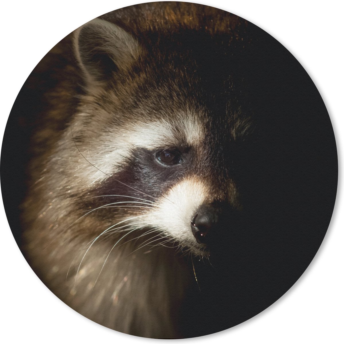 Muismat rond 20x20 cm - Mousepad Wasbeer - Wilde dieren - Zwart - Ronde muismatten