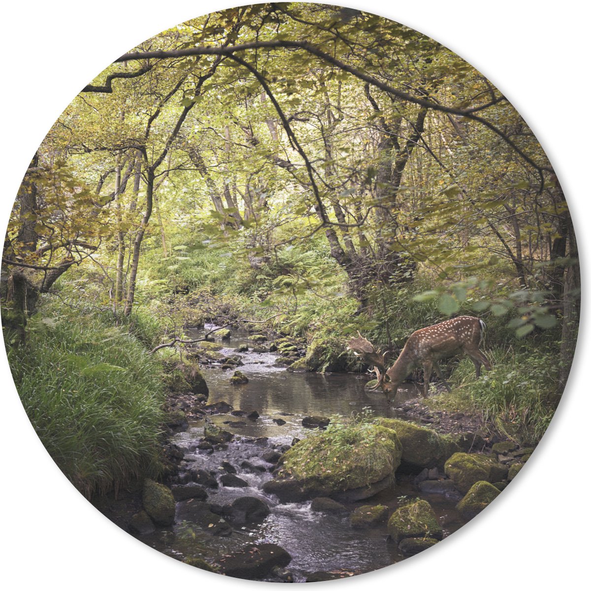 Muismat rond 40x40 cm - Mousepad Hert - Boom - Bos - Ronde muismatten