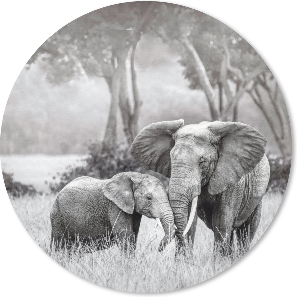 Muismat rond 40x40 cm - Mousepad Olifant - Dieren - Natuur - Zwart wit - Ronde muismatten