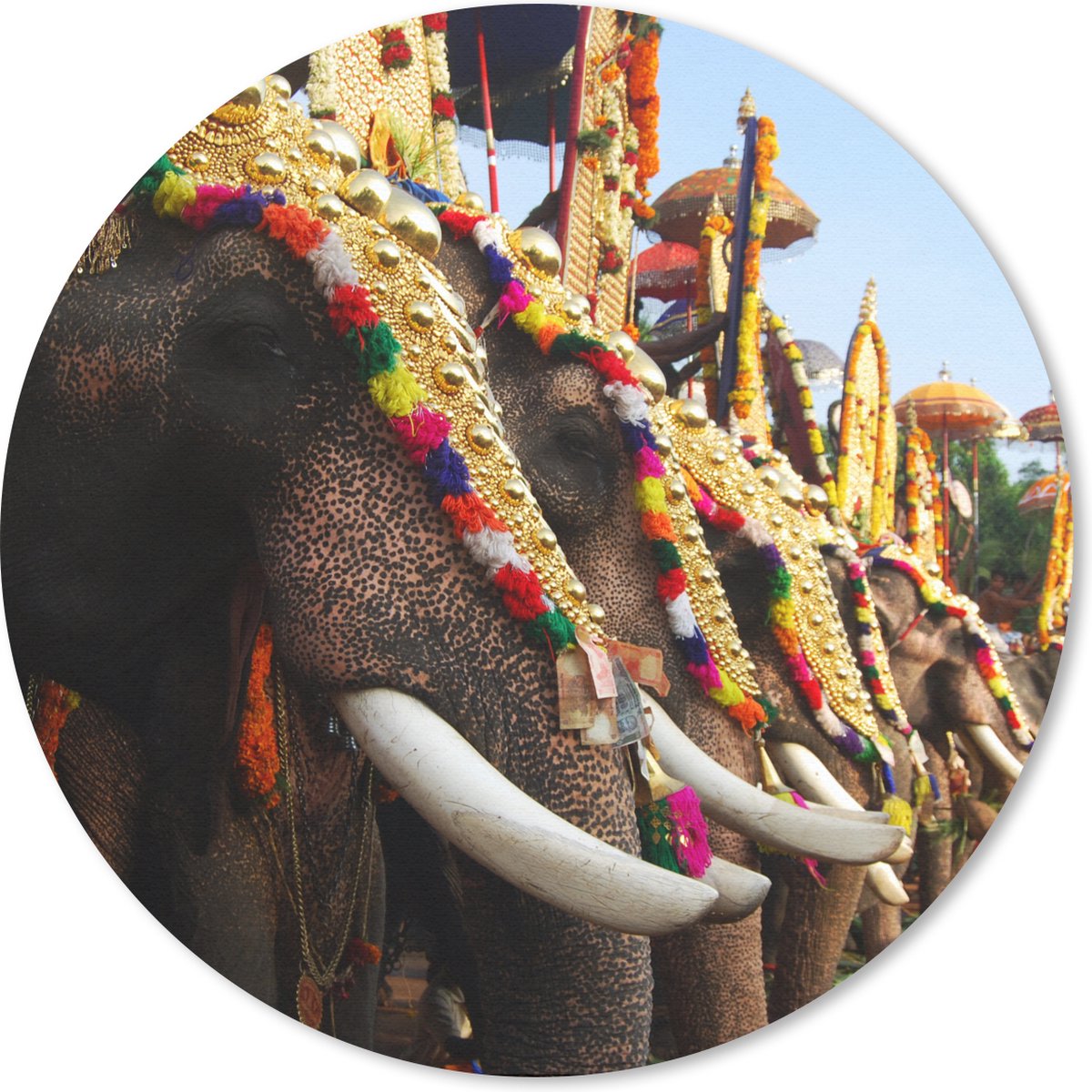 Muismat rond 30x30 cm - Mousepad Olifant - Parade - Dieren - Ronde muismatten