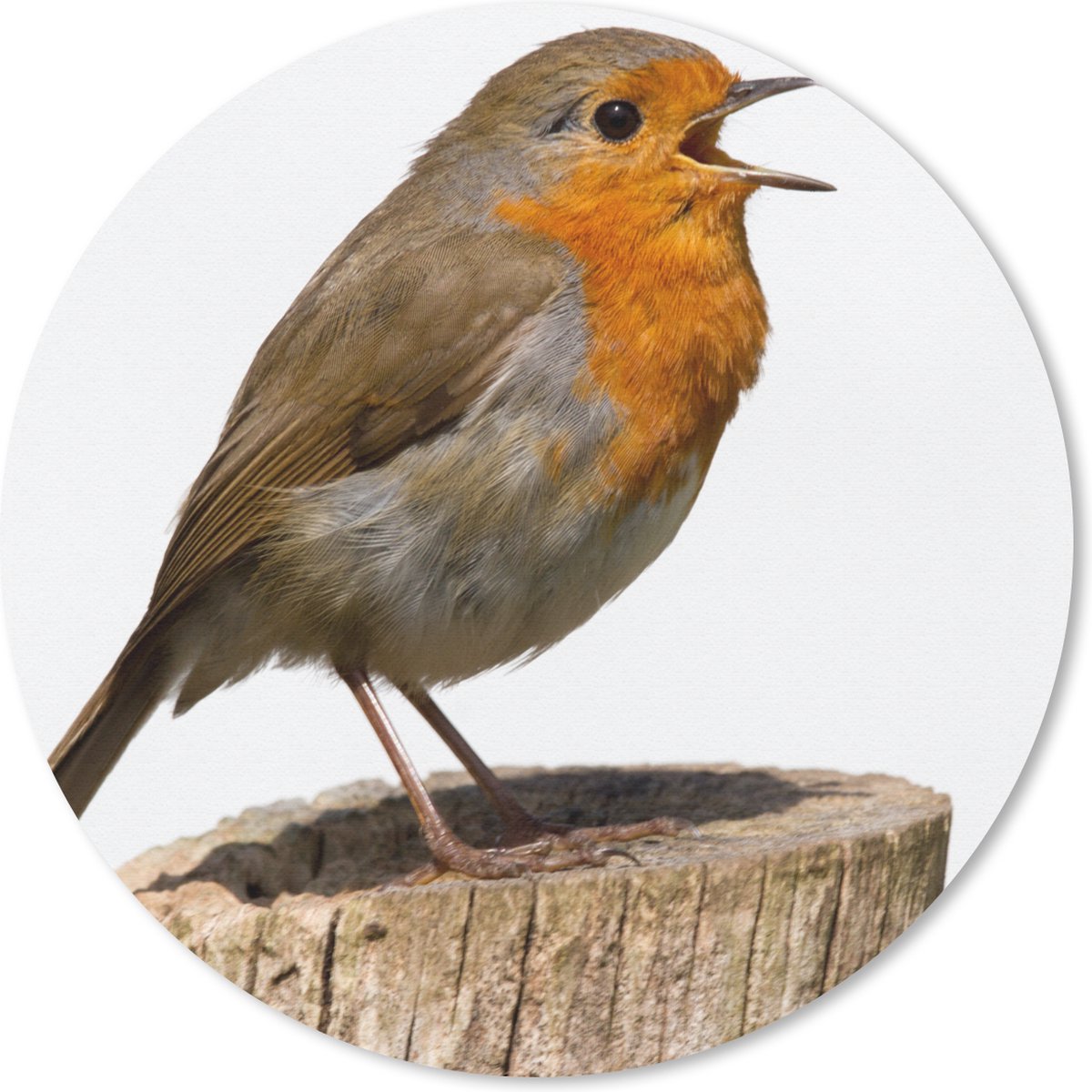 Muismat rond 20x20 cm - Mousepad Roodborstje - Vogel - Hout - Ronde muismatten