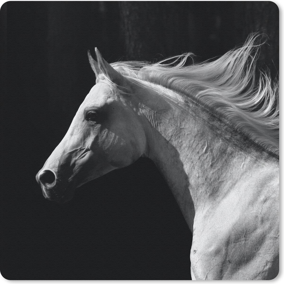 Muismat 30x30 cm - Mousepad Paarden - Boerderijdier - Manen - Muismatten