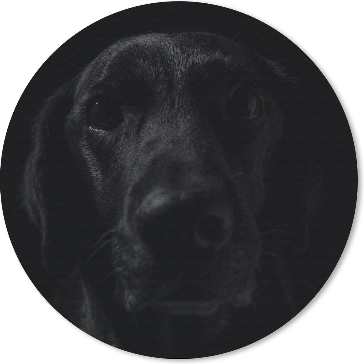 Muismat rond 30x30 cm - Mousepad Hond - Huisdier - Zwart - Ronde muismatten