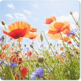 Muismat Klein - Bloemen - Klaproos - Lente - Natuur - Rood - Blauw - 20x20 cm