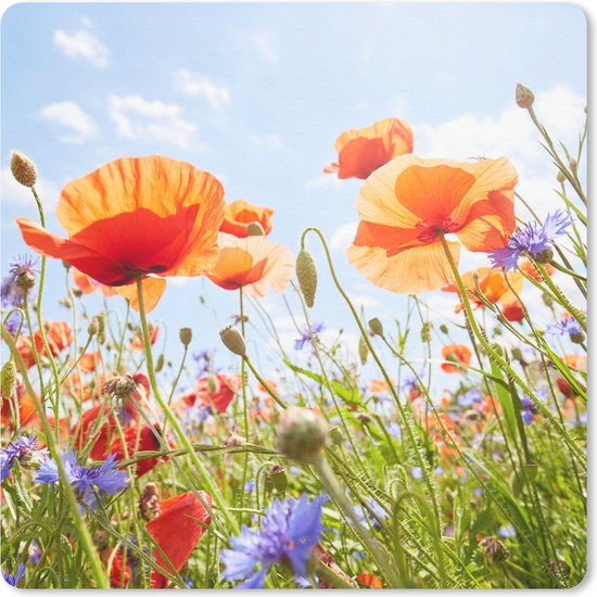 Muismat Klein - Bloemen - Klaproos - Lente - Natuur - Rood - Blauw - 20x20 cm