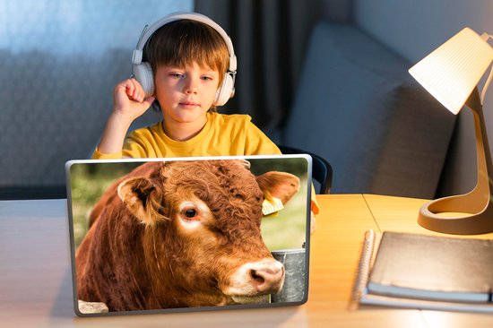 Autocollant pour ordinateur portable - 10,1 pouces - Highlander écossais - Berg - Clôture - 25x18cm - Autocollants pour ordinateur portable - Peau d'ordinateur portable - Couverture