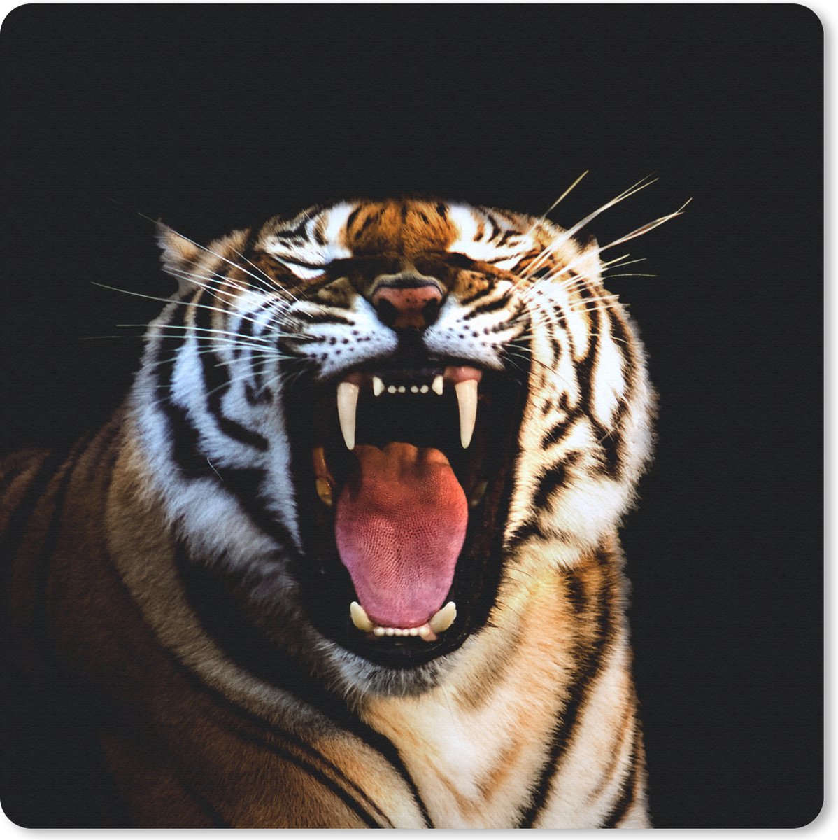 Muismat 30x30 cm - Mousepad Tijger - Tanden - Zwart - Muismatten