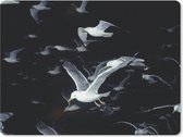 Muismat - Mousepad - Vogel - Zwart - Zwerm - 23x19 cm - Muismatten