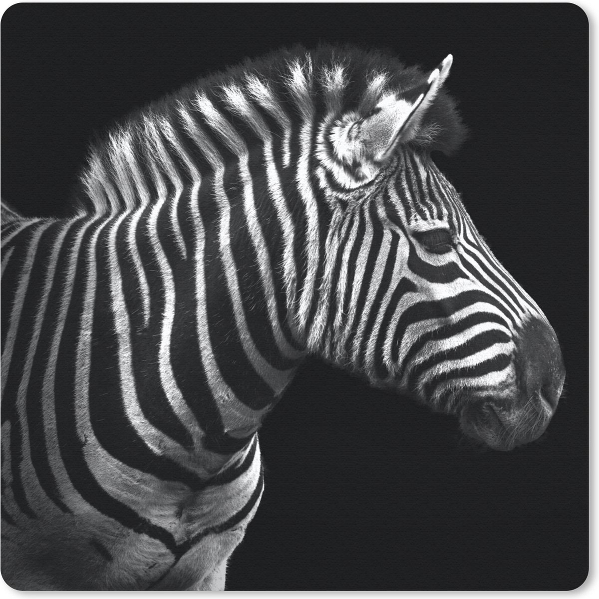 Muismat 30x30 cm - Mousepad Zebra - Zwart - Wit - Portret - Dieren - Muismatten