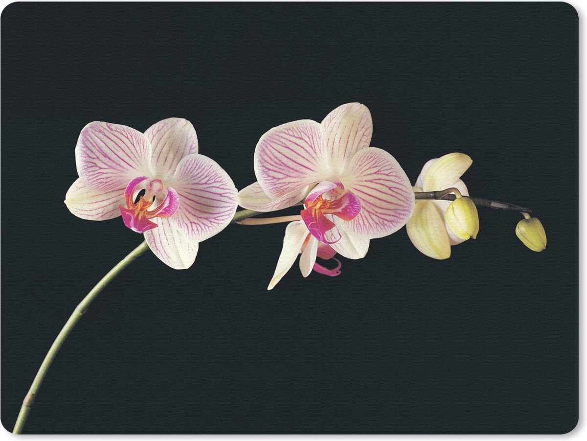 Muismat 23x19 cm - Mousepad Orchidee - Bloemen - Zwart - Roze - Knoppen - Muismatten