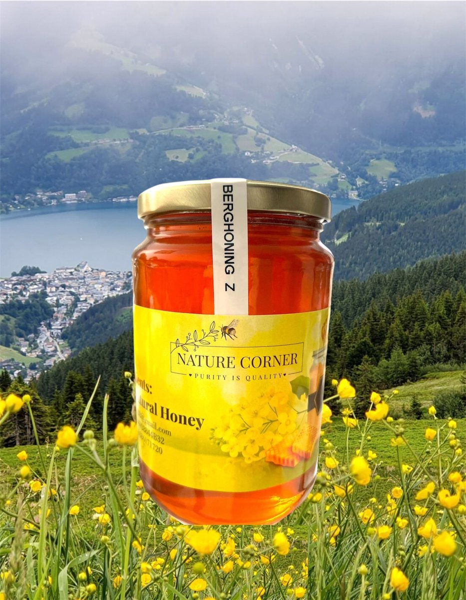 Berghoning | Mountain Honey | Miel de Montagne | عسل جبال الشمال الاسباني – 100% Puur & Natuurlijk | Rauw & Onverhit | 450g