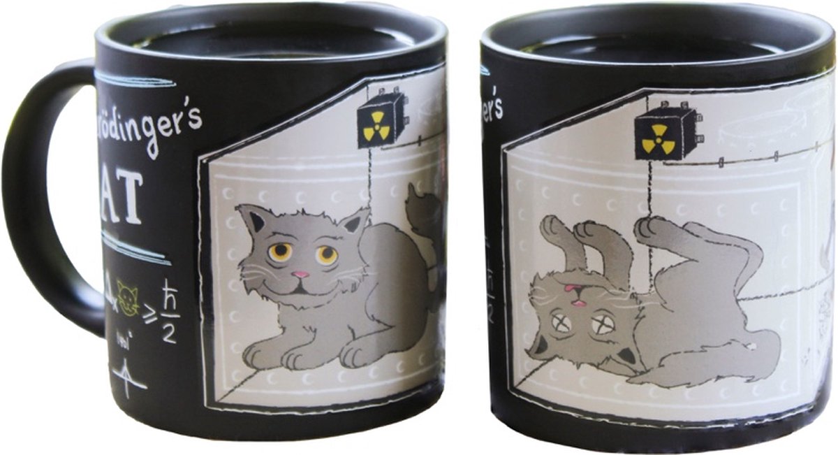 Unemployed Philosophers Guild Magische Mok - Schrödinger's Cat (set van 2)
