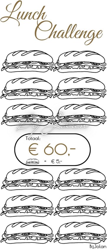 002 Cash Stuffing Challenge Kaarten - 10 stuks - Gelamineerd - BijJolan - Budgetplanner - Spaar Challenge kaarten