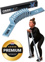 FITELASTIX® Premium Weerstandsband Lang - Alles in 1 - Resistance Band - Sport Elastiek Fitness - Workout Elastiek - Met Handvatten - Thuis Sporten - Weerstand band 5-30kg - Stof - Blauw