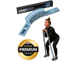 FITELASTIX® Premium Weerstandsband Lang - Alles in 1 - Resistance Band - Sport Elastiek Fitness - Workout Elastiek - Met Handvatten - Thuis Sporten - Weerstand band 5-30kg - Stof - Blauw
