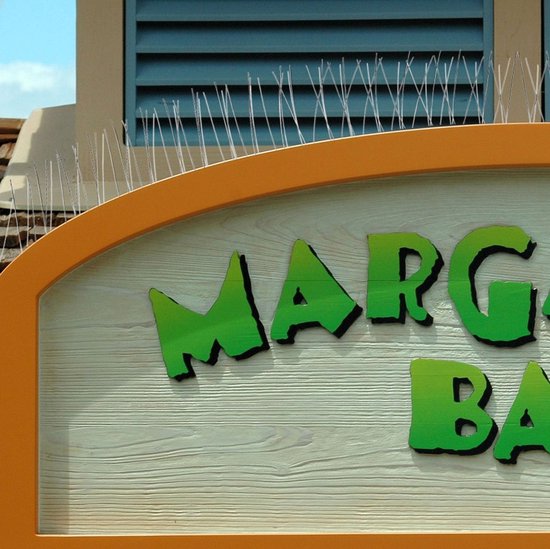 Épingles à pigeons - Acier 300 cm - Pointes anti-pigeons - Épingles à mouettes anti-oiseaux