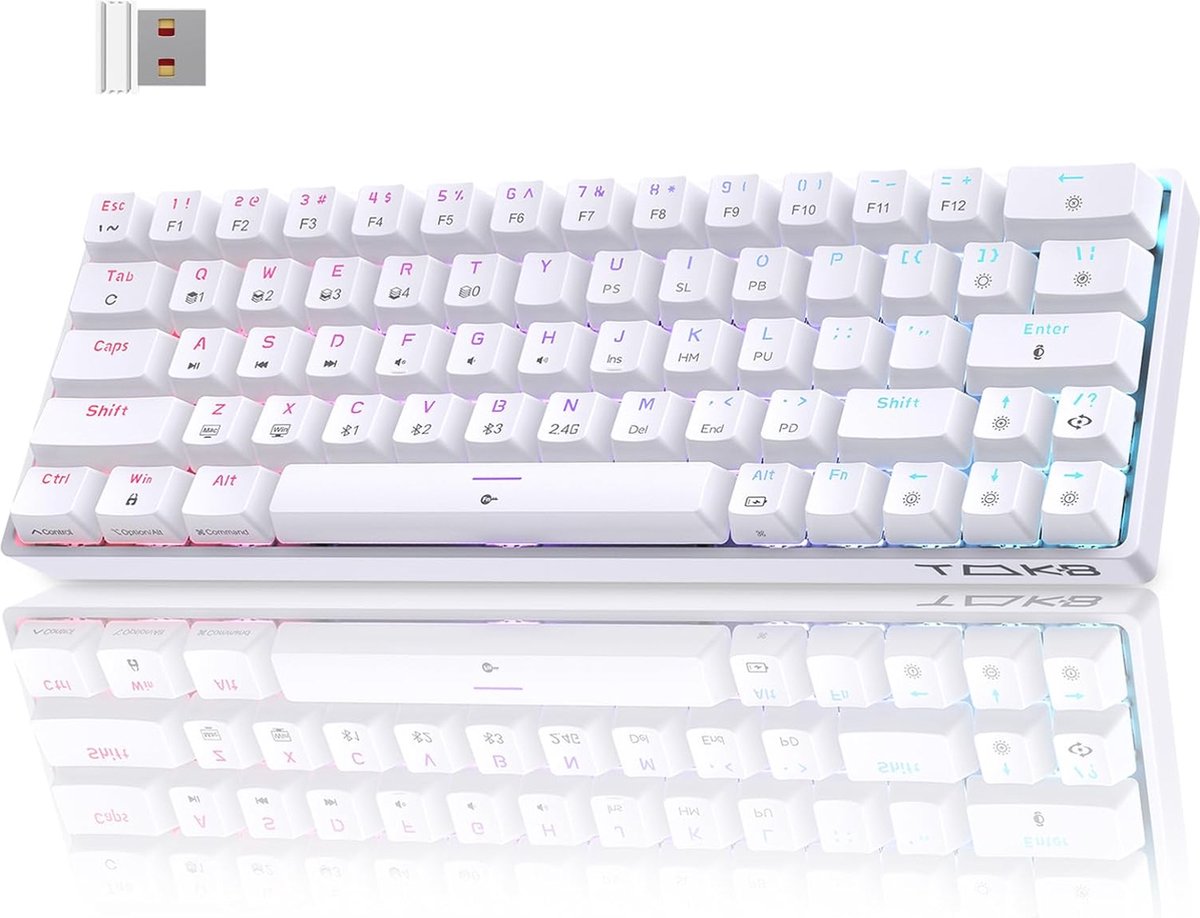 Compact Mechanisch Draadloos Toetsenbord - 60% RGB met Bluetooth en Type-C, 61 Toetsen US Layout