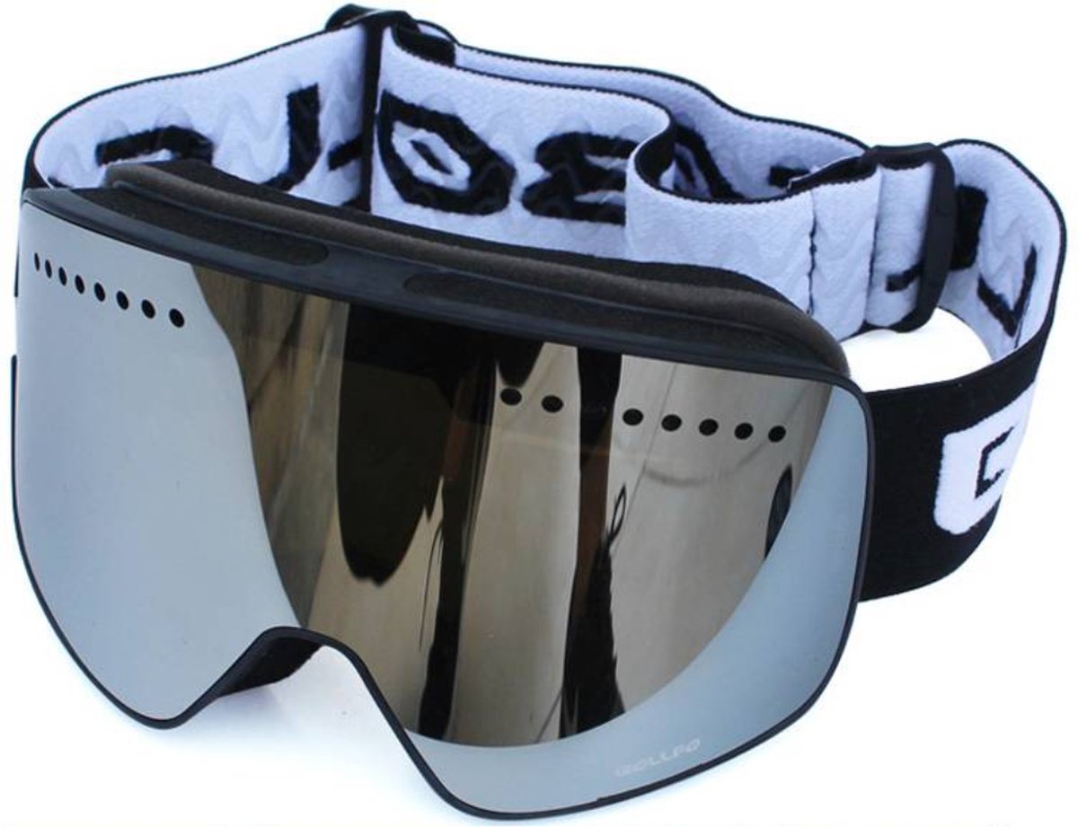 Bovista Skibril - Ski Zonnebril - Dames - Heren - Wintersport - Winddicht - UV-Bescherming - Ski Gadgets - Zwart Met Zilver
