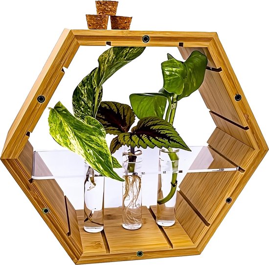 Plantenhanger binnen - Stekstation - Bamboe plantenhanger - Incl. 3 reageerbuisjes