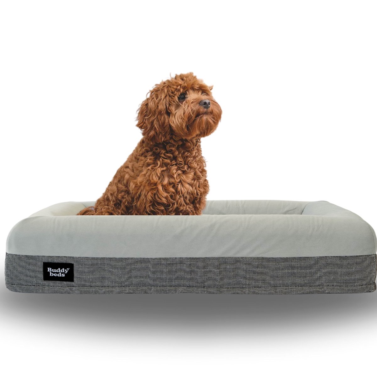 Orthopedisch Hondenbed Van Traagschuim Met Afneembare Hoes Voor Grote En Kleine Honden