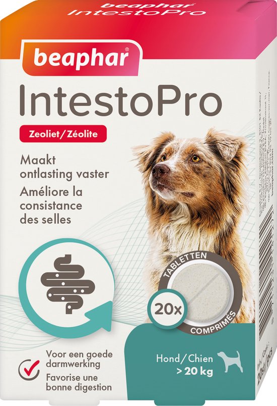 Beaphar IntestoPro Hond vanaf 20 kg 20 tabletten