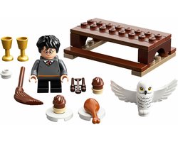 LEGO Harry Potter™ en Hedwig - 30420 - Polybag