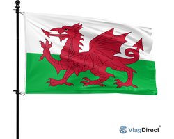 VlagDirect - Welshe vlag- Wales vlag - 90 x 150 cm.
