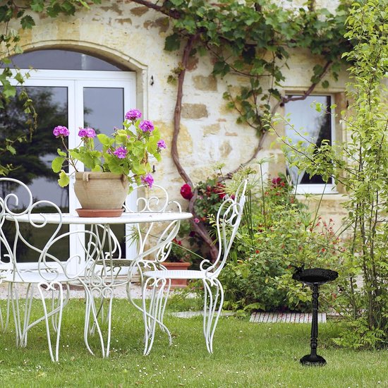 Yorkshire Vogelbad met Rozen Decoratie kopen