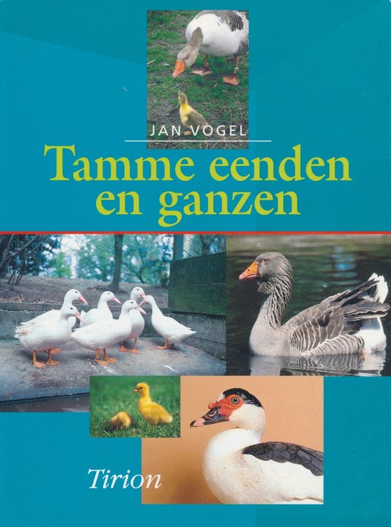 Tamme Eenden En Ganzen