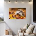 Egeltje in herfstbladeren hangend aan een witte muur op een balkon.