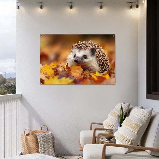 Egeltje in herfstbladeren hangend aan een witte muur op een balkon.