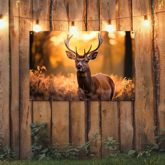 Hert met gewei in een bos met warm ochtendlicht, hangend aan een houten schutting.