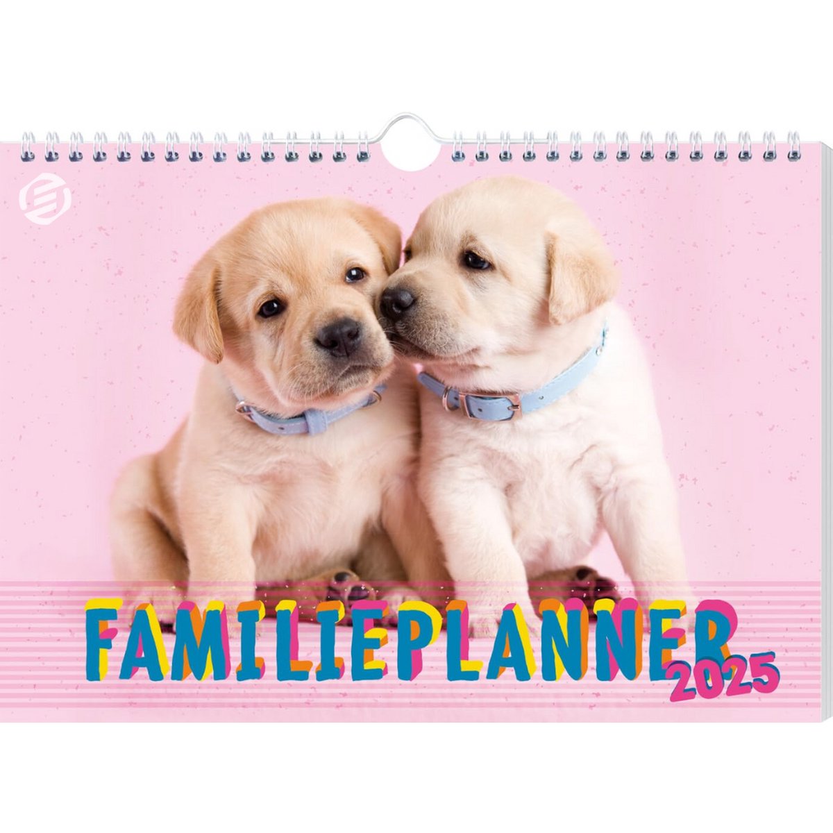 Equivera Famillieplanner 2025 - Familyplanner 2025 - Gezinsplanner - Kalender - Weekplanner - Weekoverzicht - tot 18 Maanden