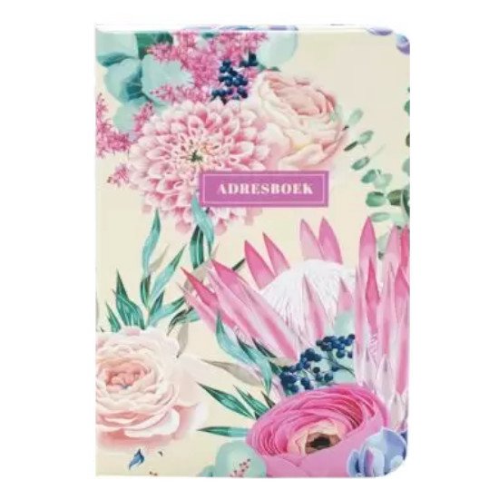 Paper&you® Adresboek, A6 , Met Register A Z, Minty Leaves, Boek Voor Contacten Verjaardagen En Wachtwoorden Duurzaam Klimaatvriendelijk 1250806574 Paper&you® Adresboek, A6 , Met Register A Z, Minty Leaves, Boek Voor Contacten Verjaardagen En Wachtwoorden Duurzaam Klimaatvriendelijk 1250806574