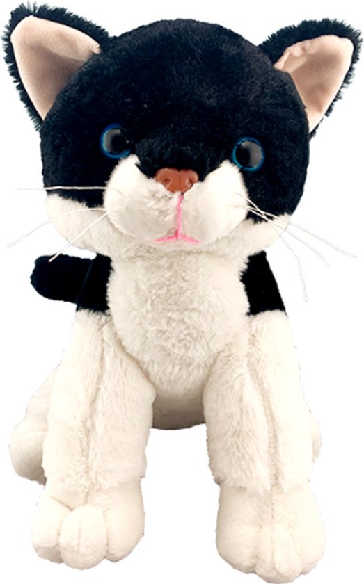 Poes kat Teddy mountain, zwart witte kat, katten, huisdieren, speelgoed ...