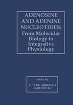 Adenosine and Adenine Nucleotides
