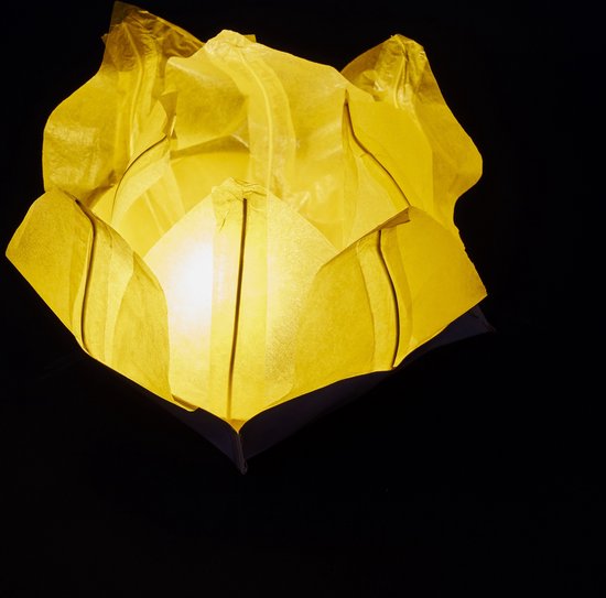 10 Stuks Grote Drijflantaarns Waterlelie