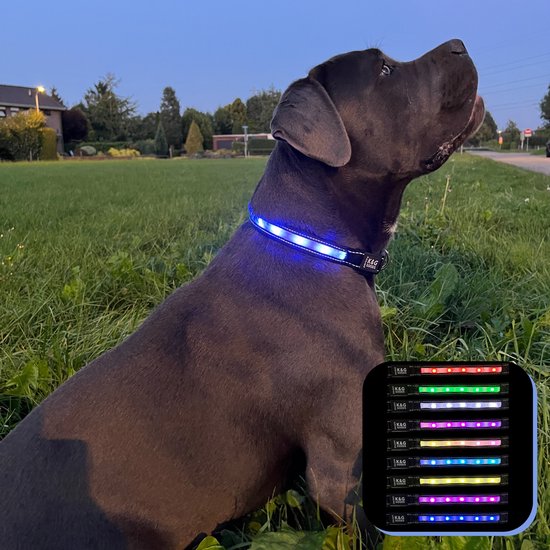 Foto: K g lichtgevende halsband hond 9 kleuropties ipx7 waterproof led inclusief oplaadkabel en apple airtag houder maat m zwart