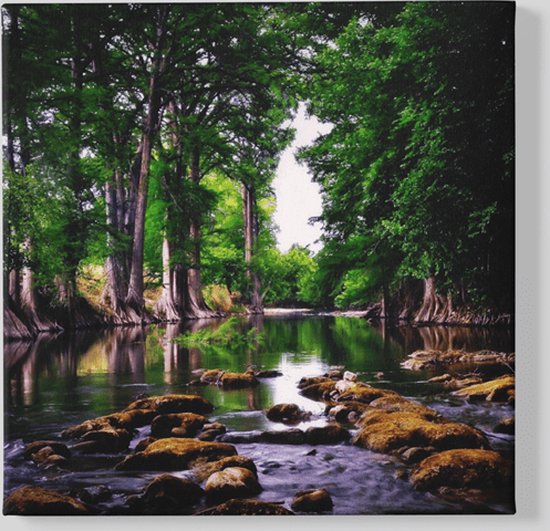 vierkant-canvas-schilderij-landschap-stroom-in-het-bos-60x60x2-cm