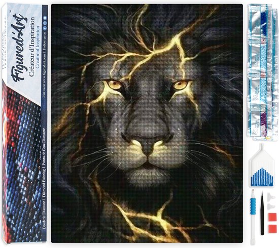 Figured'Art Diamond Painting set Volwassenen 40x50 cm Zwarte Leeuw - 5D DIY Art full drill vierkante diamant - Opgerold canvas