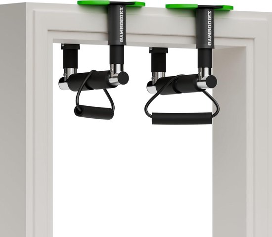 Wellshow Sport Wandmontierte Klimmzugstange und Dip-Station für das Home-Gym - M