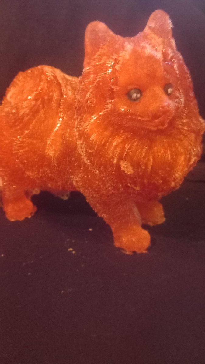 starwolf, lampje pomeriaan hondje, geschenk, uniek