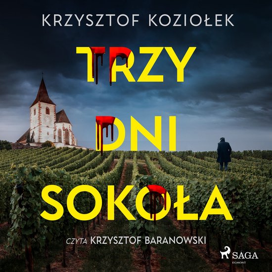 Trzy dni Sokoła - cover