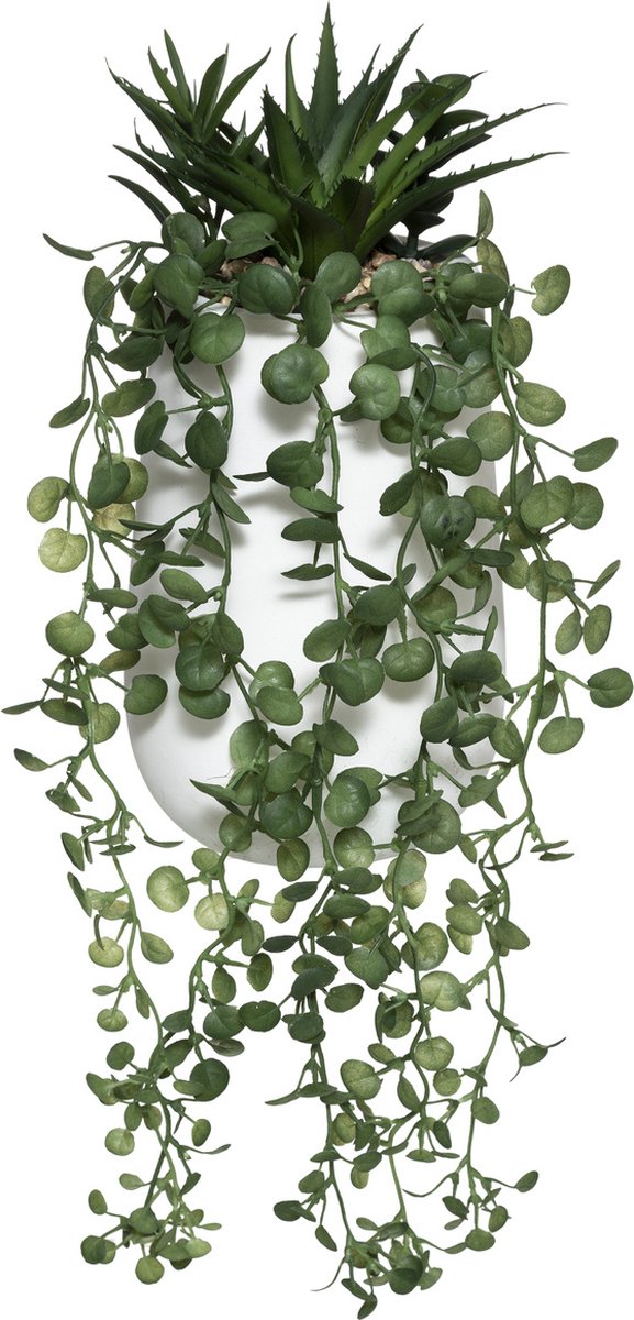 Kunstplant PEPEROMIA, hangend