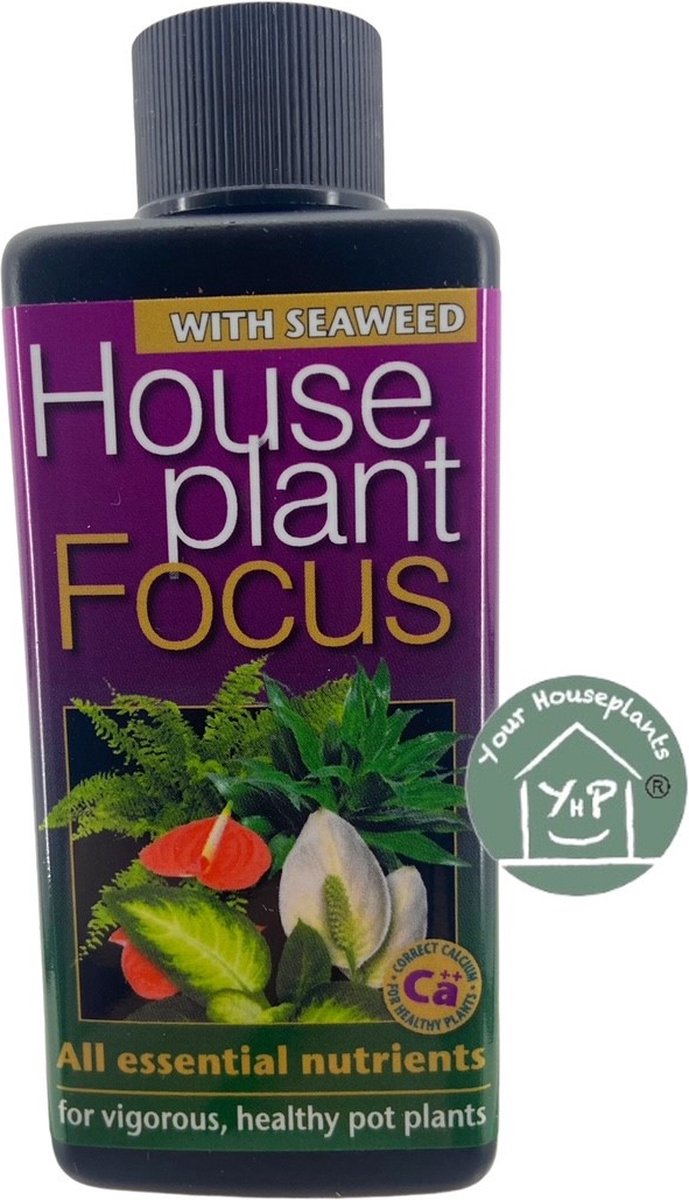 GROWTH TECHNOLOGY HOUSEPLANT FOCUS 100 ML