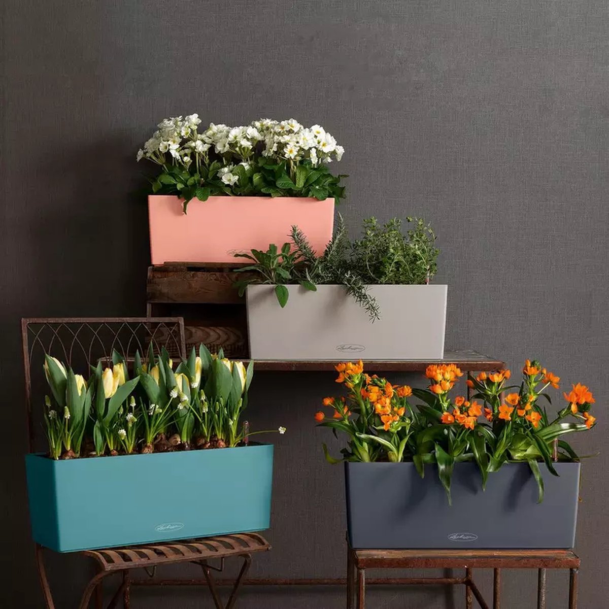 Lechuza Balconera Color 50 - Jardinière - avec pot intérieur amovible