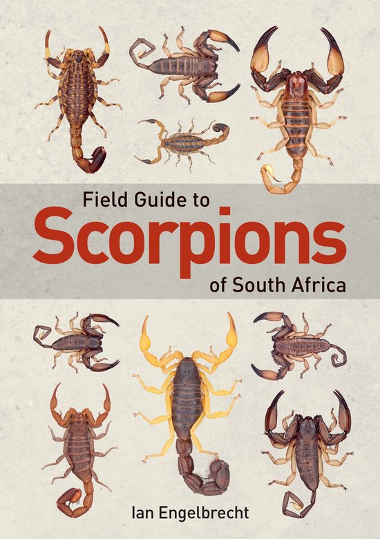 Field Guide to Scorpions of South Africa - cover