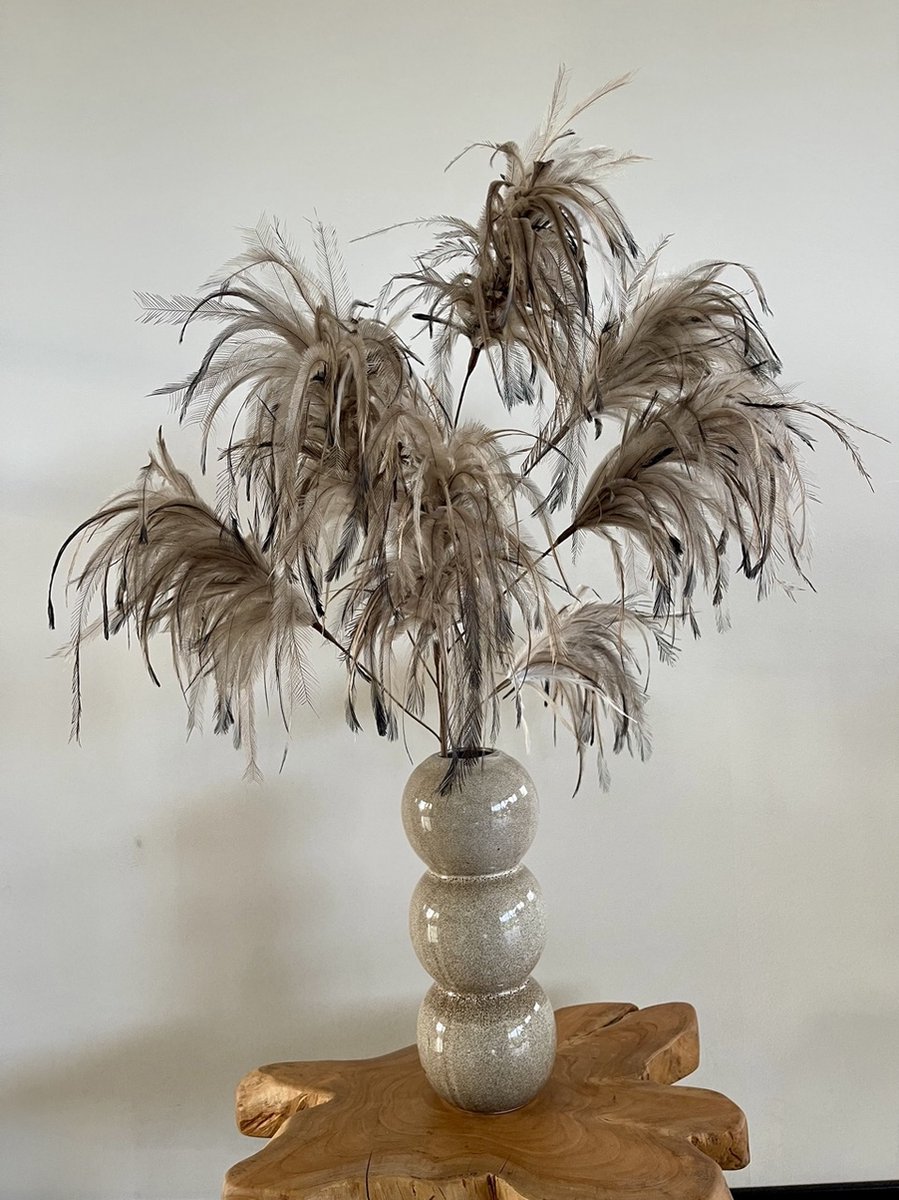 Pluim Veren - Grijs/Beige - 95 cm