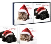 Luxe Kerstkaarten - 16 Stuks - 13 x 13 cm – 2 Designs – K-148
